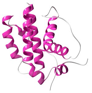 Mercado de proteína del tumor de Wilms